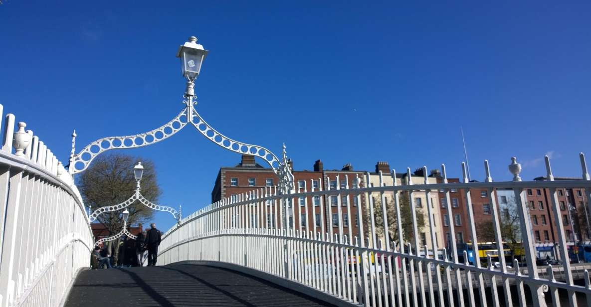 Dublin: Private City Tour in German - Accessibility and Group Size