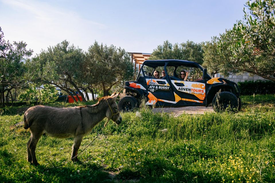 Dubrovnik: Private Buggy Safari Guided Tour (3 Hours) - Itinerary and Route