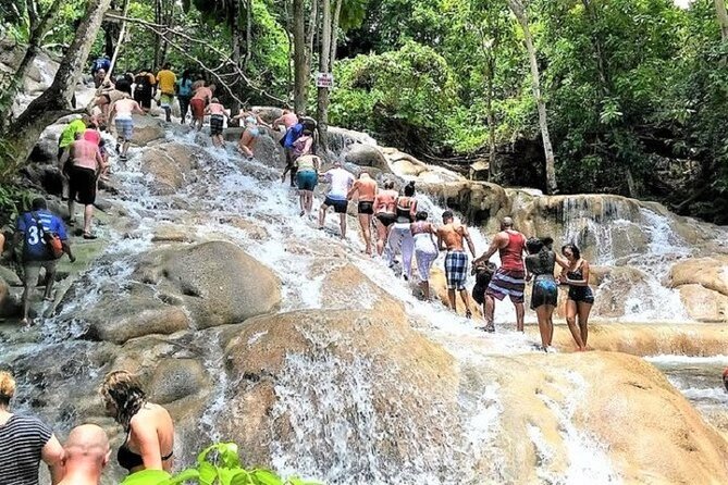 Dunns River Falls, Shopping and Lunch - Accessibility and Health Considerations