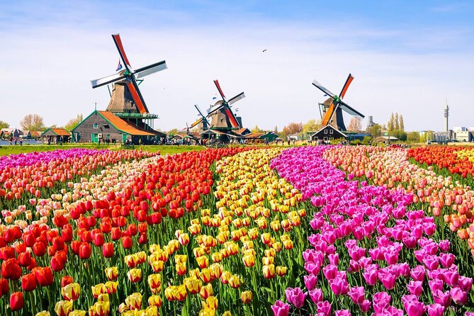 Dutch Countryside and Zaanse Schans Windmills Private Tour - Accessibility and Inclusions