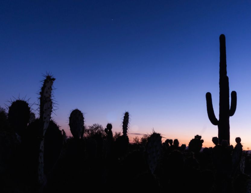 El Paso: Sun City Ghost Walking Tour - Tour Description