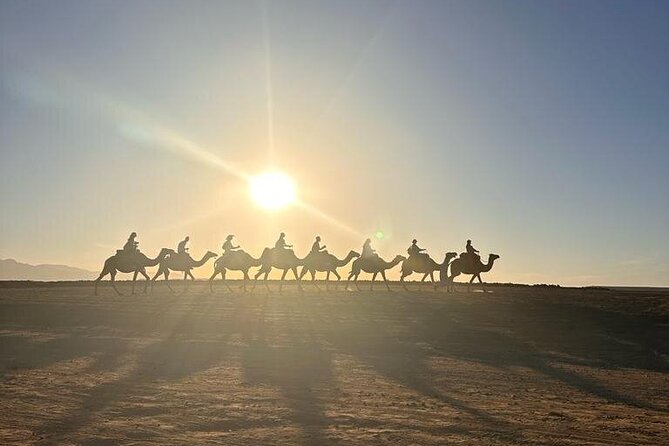 Enchanting Feast Under the Desert Stars: Magical Dinner in Agafay - Unique Dining Atmosphere