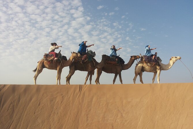 Essaouira 1 Hour Discovery Ride on the Back of a Camel - Cancellation and Refund Policy