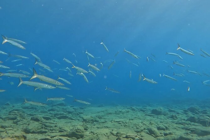 Experience Scuba Diving in Heraklion Crete - Tour Confirmation and Accessibility