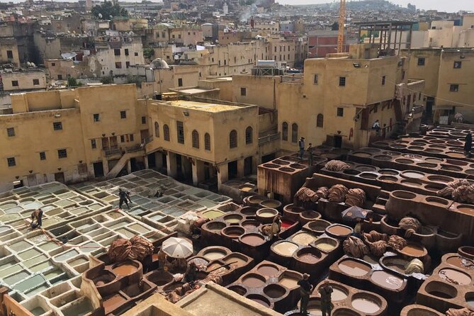 Fez Half Day Tour - Accessibility and Participation