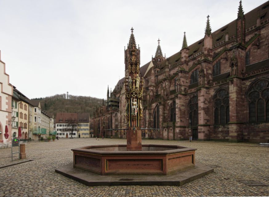 Freiburg: Guided Walking Tour - Tour Itinerary