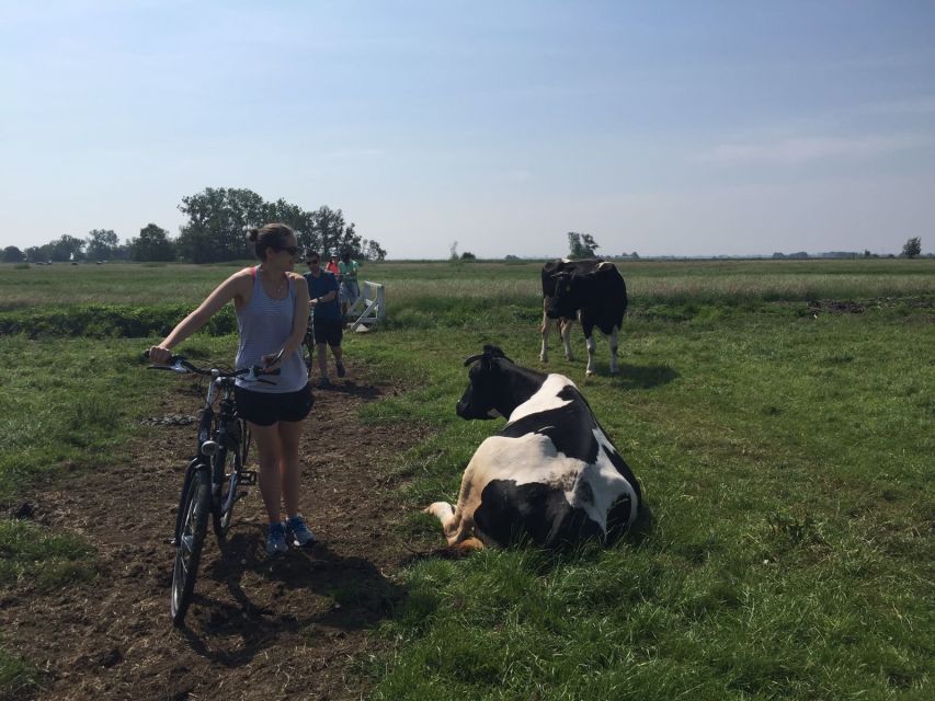 From Amsterdam: Countryside Bike Tour - Itinerary