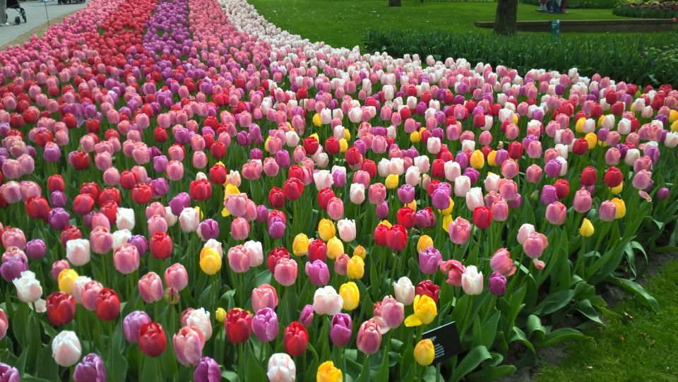 From Amsterdam: Keukenhof and Zaanse Schans Small Group Tour - Starting Location and Meeting Point