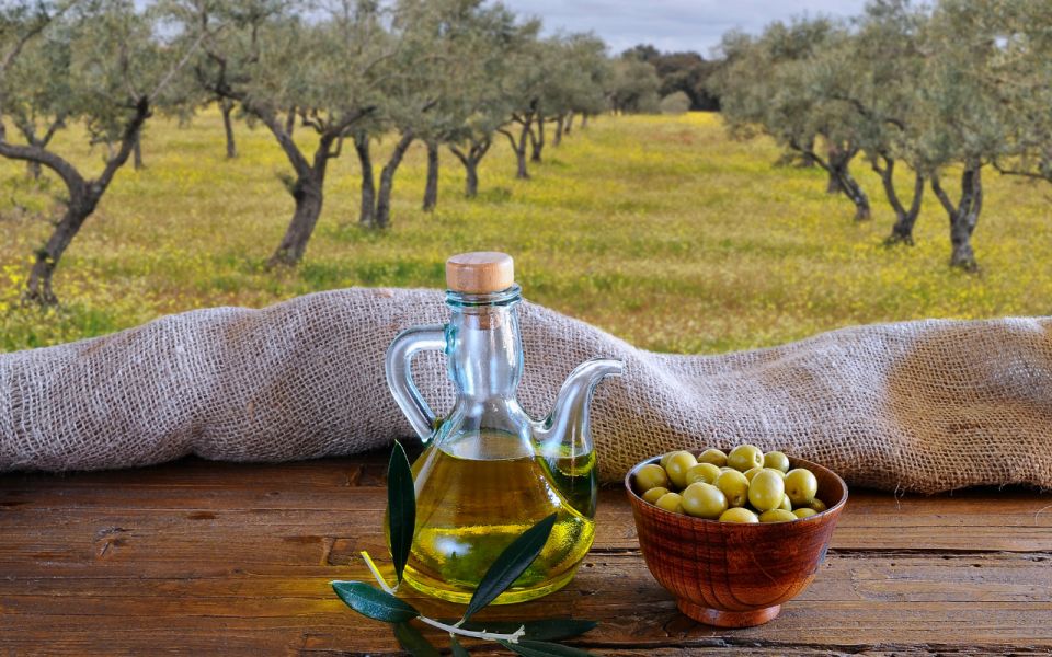 From Athens: Olive Oil Production & Wine Private Day Trip - Exploring Greek Wine Culture