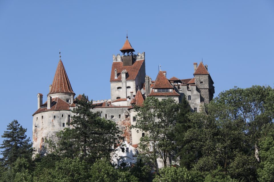 From Bucharest: Bran Castle and Peleș Castle Guided Day Trip - Peles Castle Highlights