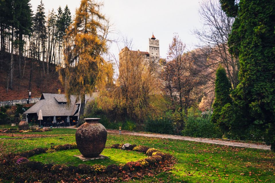 From Bucharest: Draculas Castle & Bear Sanctuary Adventure - Exploring Libearty Bear Sanctuary