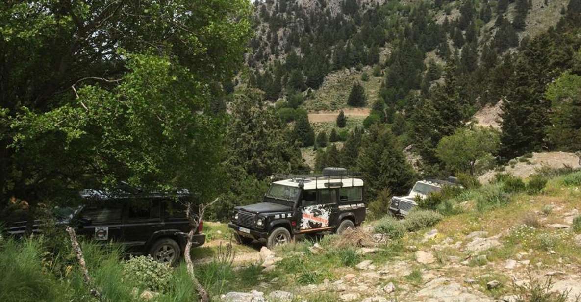 From Chania: White Mountains Land Rover Safari - Experience Highlights