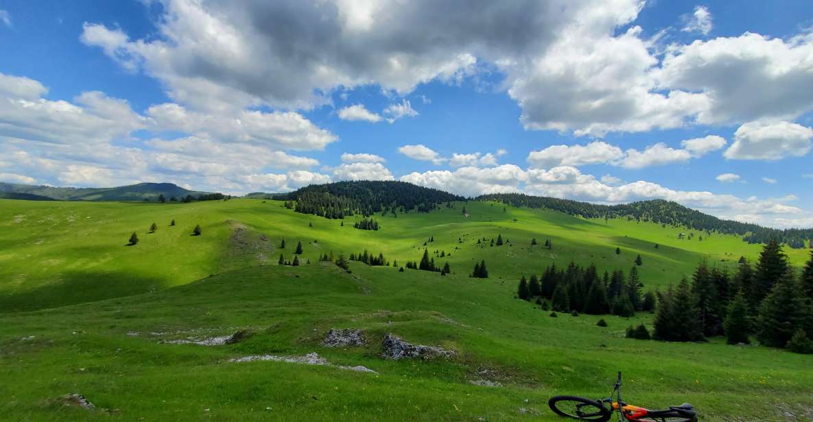 From Cluj-Napoca: Carpathian Mountains Guided Scenic Hike - Hiking Experience