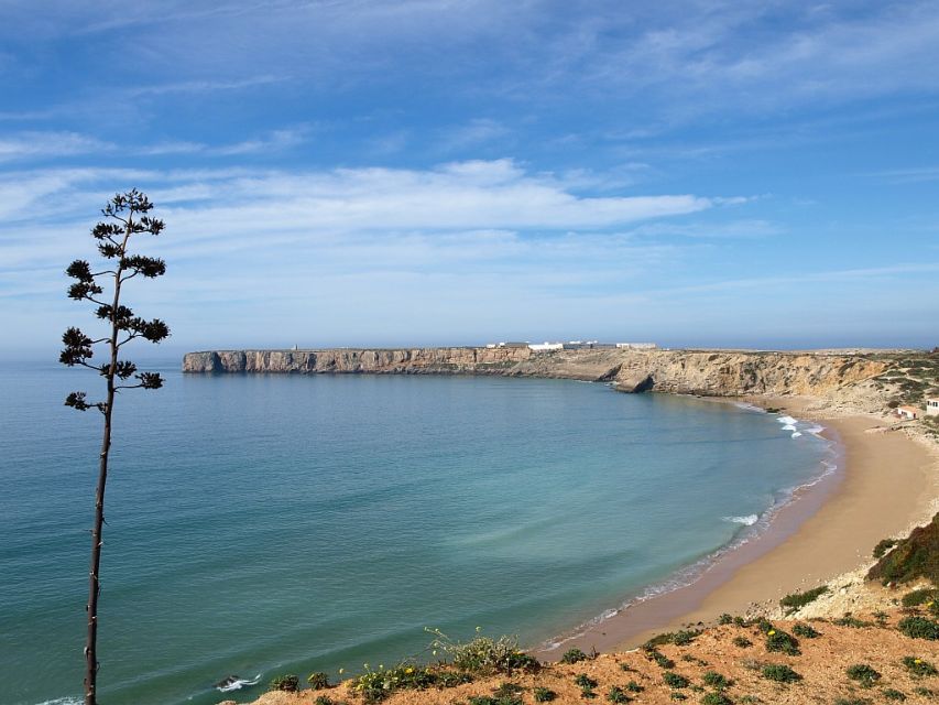 From Faro: 8-Day Tour of Portugal - Scenic Landscapes