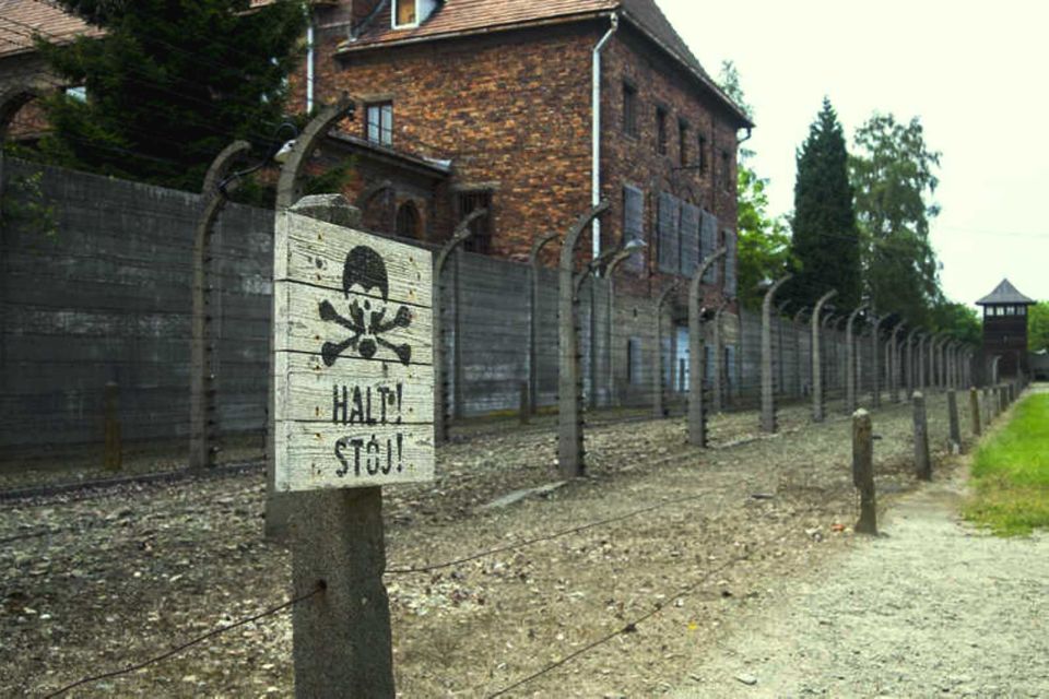 From Krakow: Guided Auschwitz-Birkenau Group Tour by Minivan - Tour Inclusions and Requirements