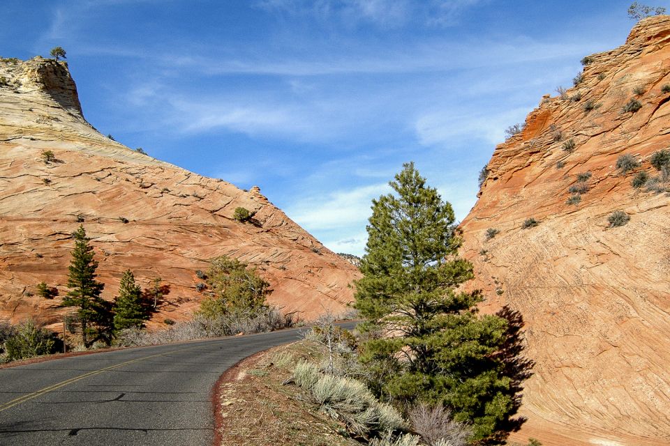 From Las Vegas: VIP Small-Group Zion National Park Adventure - Diverse Flora and Fauna