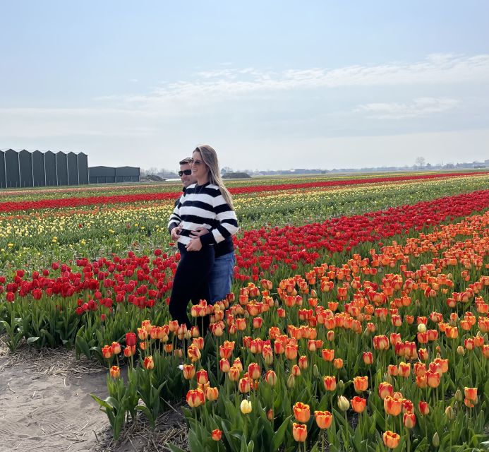 From Lisse: Flower Bike Tour Along Keukenhof Small Group - Inclusions and Equipment