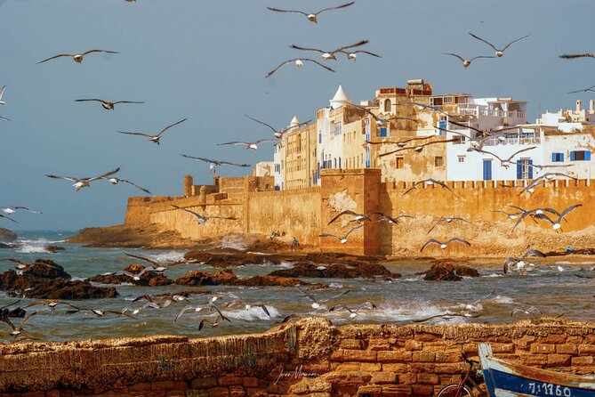 From Marrakech: Day Journey to Essaouira to Mogador - Tour Transportation and Insurance