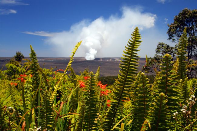 From Oahu: Big Island Volcano & Helicopter Adventure - Halemaumau Crater Observation