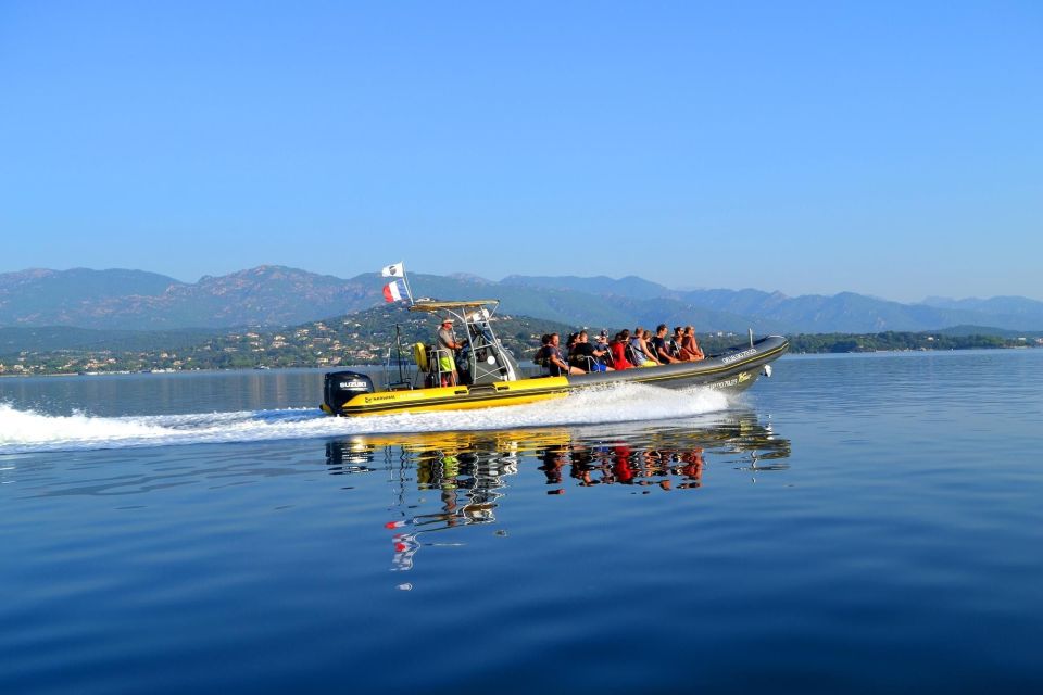 From Porto-Vecchio: Lavezzi Archipelago Sightseeing Cruise - Observing Marine Wildlife