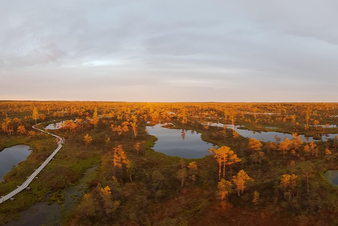 From Riga: Best of Kemeri National Park In One Day - Pickup and Meeting