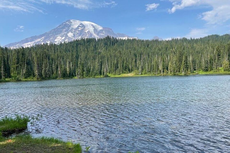 From Seattle: Full-Day Mt Rainier National Park Tour - Scenic Drives and Stops