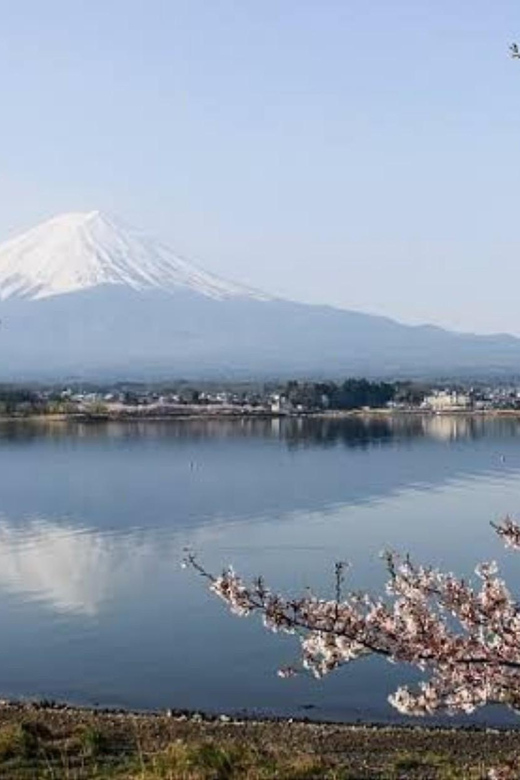 From Tokyo: Mount Fuji Day Trip - Transportation Details