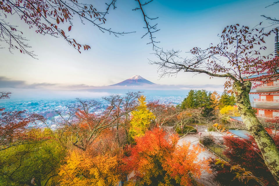 From Tokyo: Private Day Trip to Mount Fuji and Surroundings - Important Information