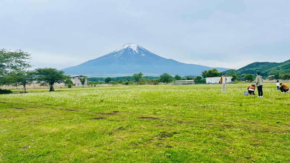 From Tokyo/ Yokohama: Private Day Trip To Mt. Fuji/Hakone - Pickup and Drop-off Locations