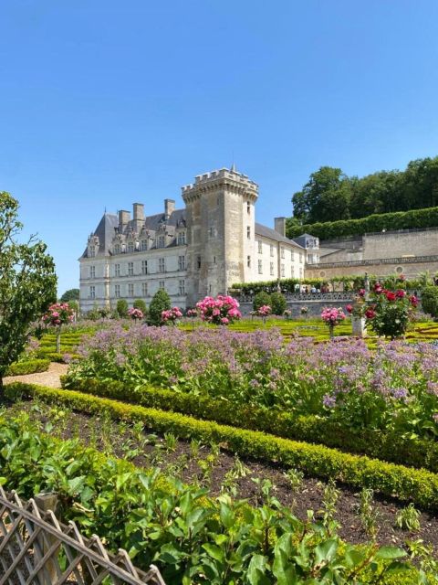 From Tours: Villandry, Azay-le-Rideau & Vouvray Winery - Vouvray Winery: Winemakers Welcome