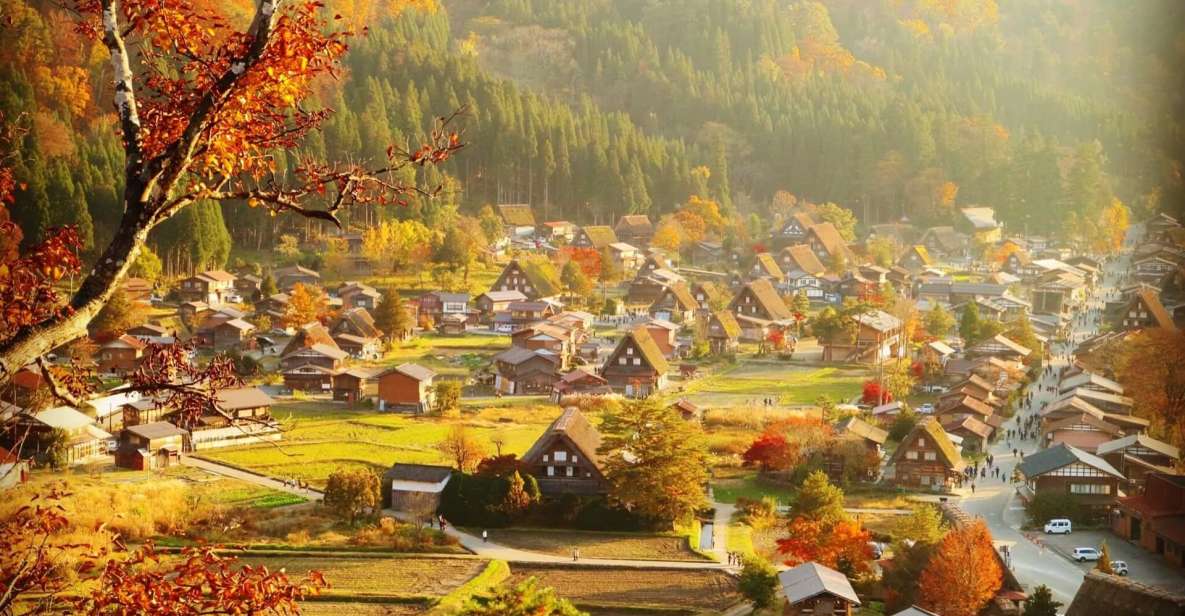 From Toyama: Private Day Tour to Shirakawago & Takayama - Transportation and Driver