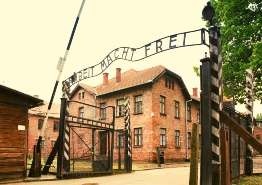 From Warsaw: Auschwitz-Birkenau Small Group Tour With Lunch - Experience Highlights