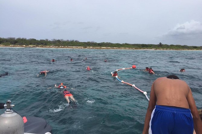 Full-Day at Catalina Island From Santo Domingo With Optional Snorkeling Included - Health and Accessibility