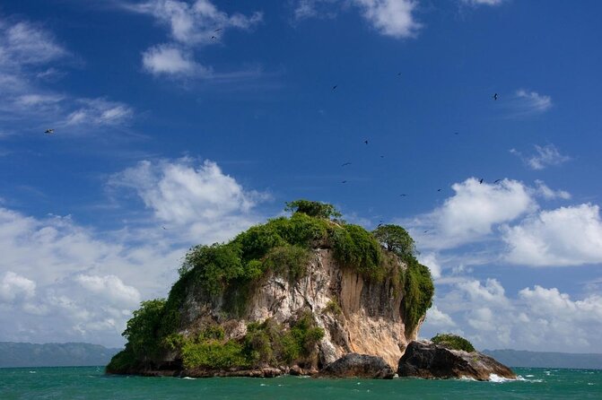 Full-Day at Los Haitises National Park - Pickup and Drop-off