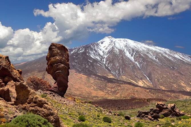 Full Day Guided Tour of Teide by Cabrio Bus - Tour Experience and Itinerary