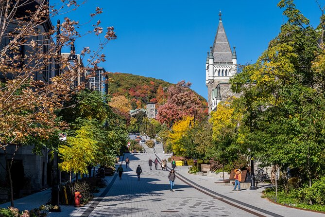 Full Day Private Shore Tour in Montreal From Montreal Cruise Port - Confirmation and Accessibility