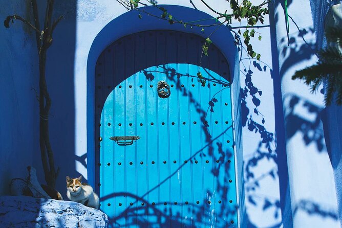 Full Day Private Trip to Chefchaouen the Blue City From Tangier - Professional Local Guide