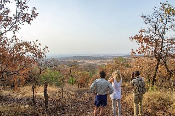 Full-Day Serengeti Tour From Mwanza - Itinerary Details