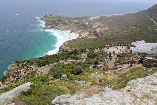 Full Day Visit to Cape Point Cape of Good Hope for Special Needs From Cape Town - Meeting and Pickup