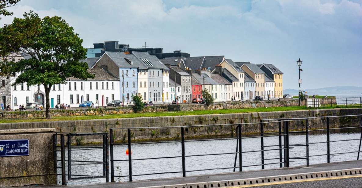 Galway Gourmet Adventure: A Culinary Odyssey - Tour Features