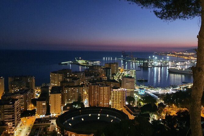 Gibralfaro Castle, Port and Bullring Segway Tour - Important Information