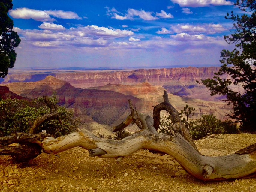 Grand Canyon: North Rim Private Group Tour From Las Vegas - Luxury Transportation