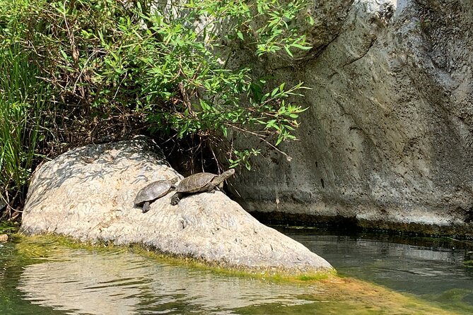 Guided Canyoning Adventure Near Marbella (Benahavís River Walk) - Additional Info