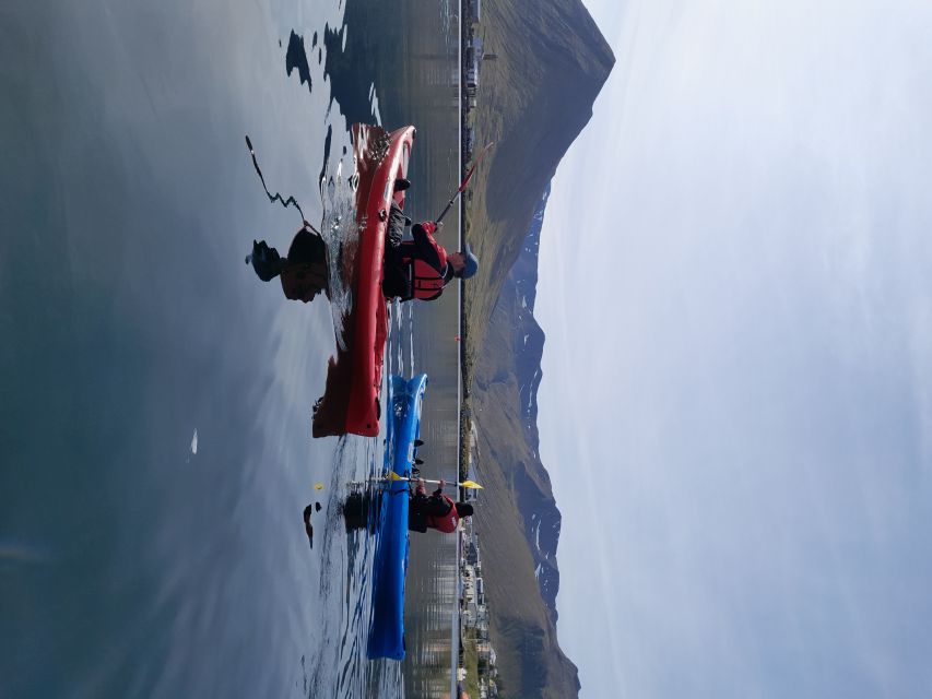 Guided Kayak Tour in Siglufjörður. - Kayak Safety