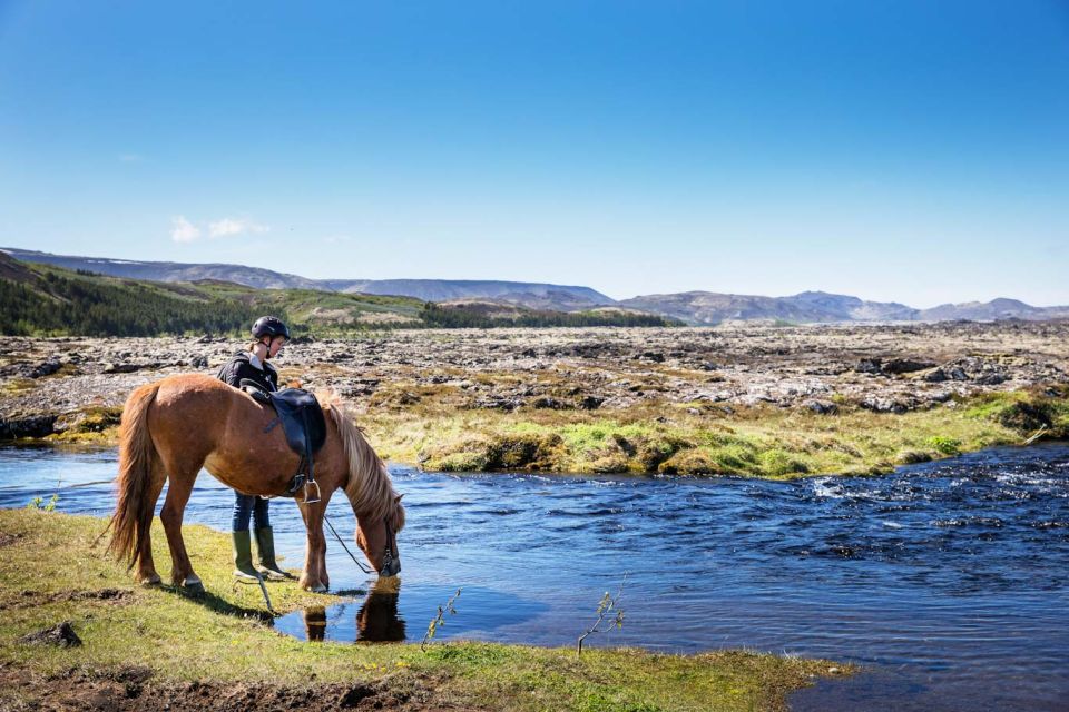 Hafnarfjörður: Horseback Riding Tour in Reykjavik Area - Inclusion and Exclusions