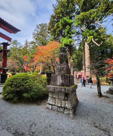 Hakone Private Day Tour With English Speaking Driver - Pickup and Drop-off Locations