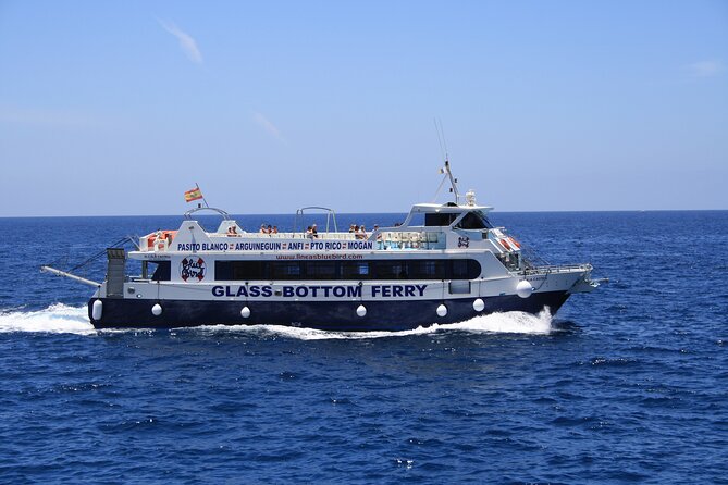 Half-Day Cruise Tour-Dolphin and Whale Watching - Confirmation and Accessibility