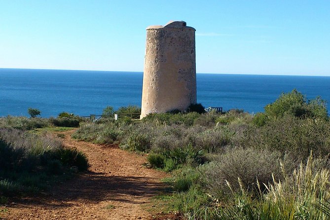 Half-Day Malaga Small-Group Hiking and Snorkeling Tour - Snorkeling Over Rocky Reefs