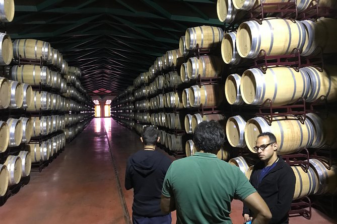 Half-Day Winery Tour From Zaragoza - Private Transportation and Accessibility