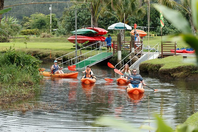 Hanalei Bay AM Kayak and Snorkel Tour - Tour Highlights and Reviews